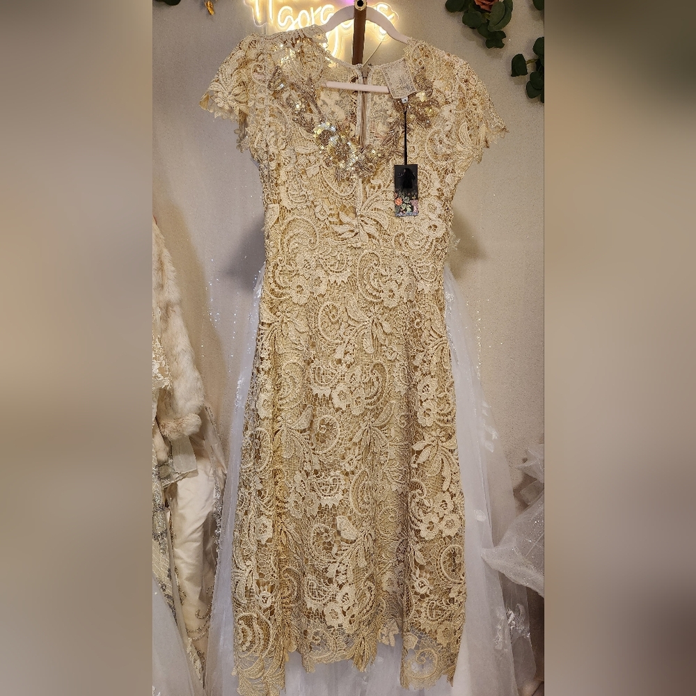 NWT Johnny Was Size 6 RARE Ivory Lace & Sequin Cocktail Midi Dress - Picture 4 of 11